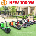 Bode Hot Sale 1000W Electric Scooter with Factory Price